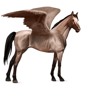 pegasus-reitpferd hellgrau