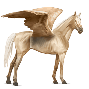 pegasus-reitpferd englisches vollblut palomino