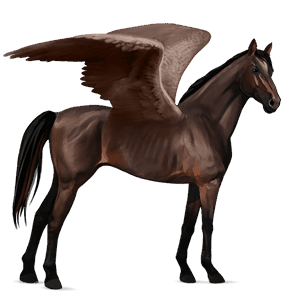 pegasus-reitpferd dunkelbrauner