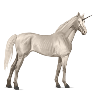 einhorn-reitpferd cremello