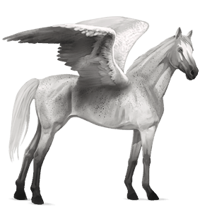 pegasus-reitpferd hellgrau