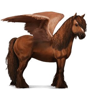 pegasus-reitpferd argentinischer criollo dunkelfuchs