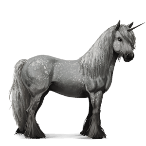 einhorn-reitpferd curly horse fuchs