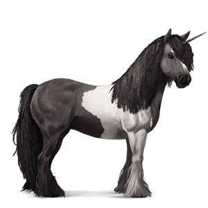 einhorn-reitpferd curly horse rappe