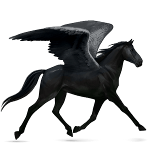 pegasus-reitpferd dunkelbrauner