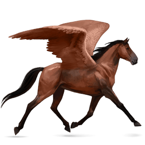 pegasus-reitpferd rotbrauner