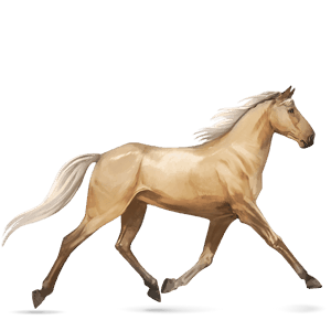 reitpferd palomino