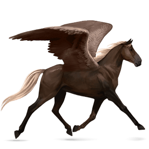 pegasus-reitpferd hackney rotbrauner