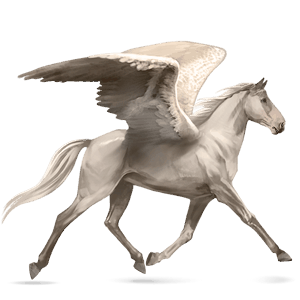 pegasus-reitpferd araber hellgrau