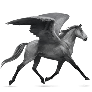 pegasus-reitpferd apfelschimmel