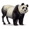 wildpferd panda