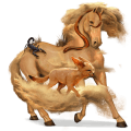 reitpferd curly horse fuchs