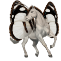 pegasus-kaltblut drum horse brauner mit tobiano-scheckung