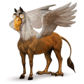 pegasus-reitpferd apfelschimmel