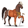 pony quarter pony apfelschimmel