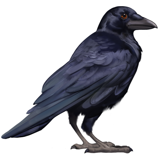 compagnon-raven_v1725270424.png