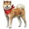 compagnon-akita-inu_v1713961018.png