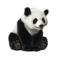 compagnon-panda_v1713961018.png