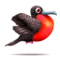 compagnon-pinata-magnificent-frigate-bird_v1713961018.png