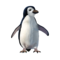 compagnon-pingouin_v1713961018.png