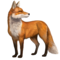 compagnon-renard_v1713961018.png